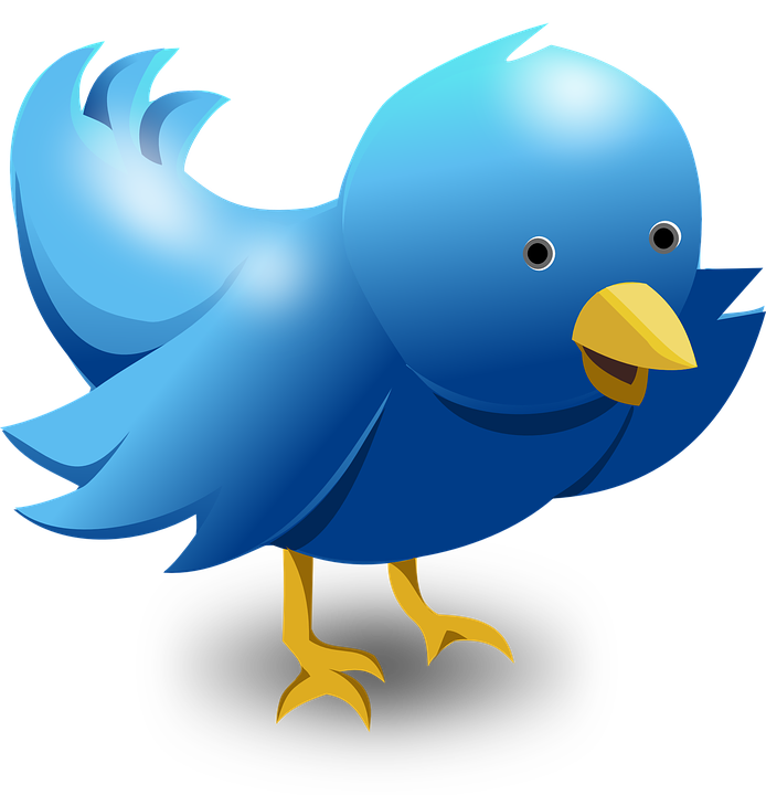 Twitter bird PNG