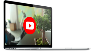 YouTube Video marketing, Making, graphics and animation
