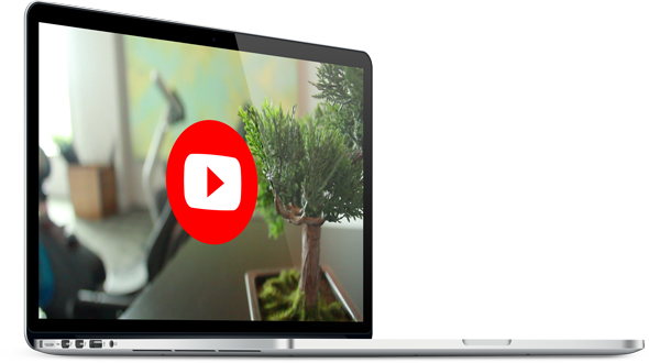 YouTube Video marketing, Making, graphics and animation